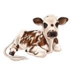 Retrato de desenho animado de vaca