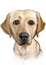 Labradora zīmuļu portrets