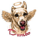 Retrato Memorial de Cachorro com Asas de Anjo
