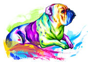 Full Body Watercolor Bulldog Portrait from Photos