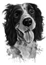 Spaniel Cartoon Portrait in Watercolor Graphite Style from Photos