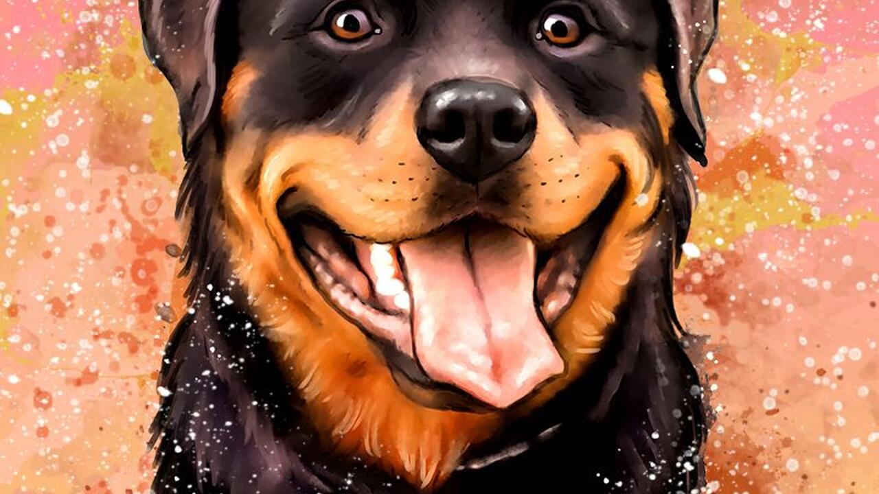 Vicious Rottweiler Drawing