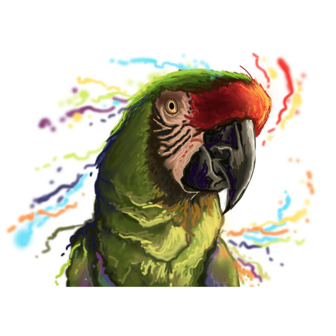Portret de papagal Ara în acuarelă naturală pentru cadou pentru iubitorii de păsări