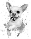 Cute Charcoal Gray Chihuahua Portrait in Watercolor Style from Photos