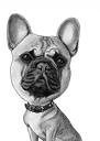 Franse Bulldog portret zwart-wit stijl
