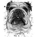 Bulldogu grafīta portrets galvas un plecu akvareļa stilā no fotoattēliem
