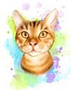 Renkli Stildeki Fotoğraflardan Olağanüstü Kedi Portresi Karikatürü