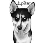 Black and White Style Husky with Name