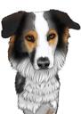 Collie Dog Caricature Cartoon in Colored Style from Photos