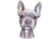 Krāsains suņa portrets