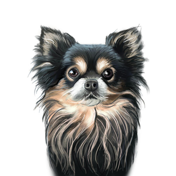 Sort pomeranian Spitz hund tegneserie portræt i farvet stil fra foto