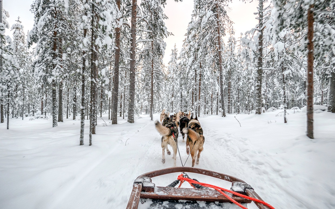 14. Zažijte romantický útěk do kouzelné zimní země Laponska.-0