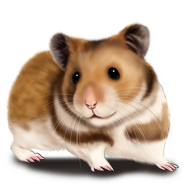 Portret de desene animate hamster