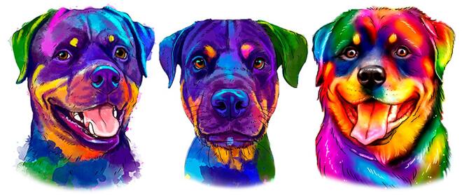 Rottweiler målning