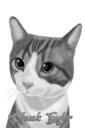 Katteportræt fra fotos i sort-hvid stil