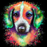 Retrato de cachorro arco-íris em fundo preto