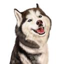 Husky Caricature