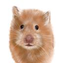 Caricatură de hamster exagerată