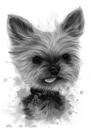 Yorkshire Terrier Cartoon Portrait Painting from Photos in Graphite Style