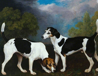 7. Džordža Stubsa "Foxhounds pāris" (1792).-0