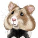 Caricatură de hamster exagerată