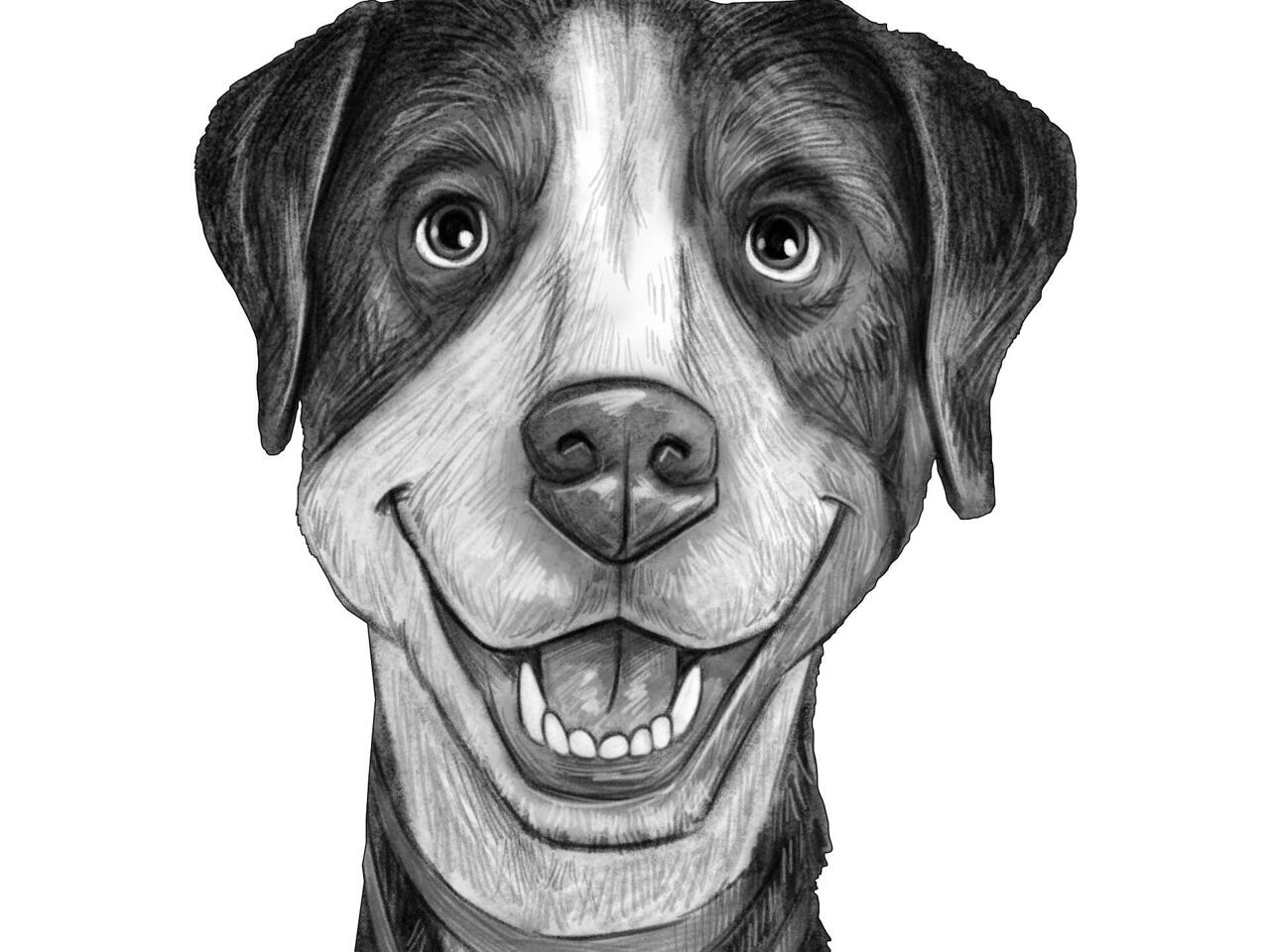 Caricature de rottweiler dans un style noir et blanc