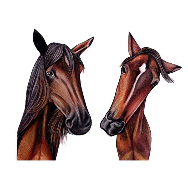 Ritratto di coppia di cavalli cartone animato in stile a colori da foto