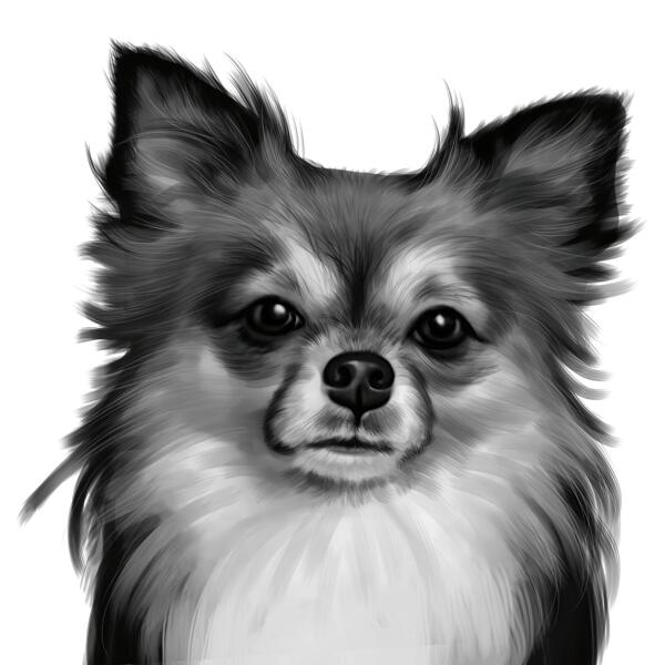 Kopf und Schultern Chihuahua Cartoon Portrait im Schwarz-Weiß-Stil