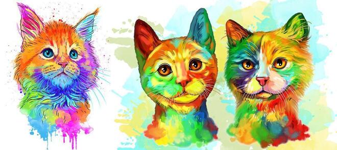 Akvarel Katteportræt