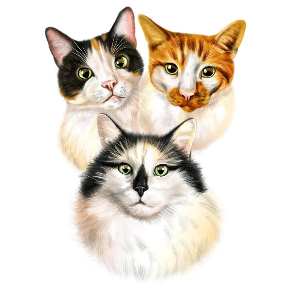3 Cats Color Cartoon Caricature from Photos
