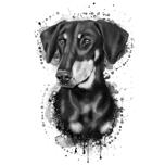 Gravhund Portræt tegneserie fra fotos i sort / hvid akvarel stil