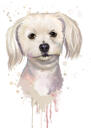 Мультяшный портрет белой собаки в стиле акварели по фото