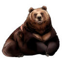 Desen portret maro grizzly
