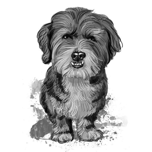 Acuarelă alb-negru cadou de pictură pentru portretul câinilor de jucărie bologneză