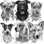 Pintura de retrato de perro de grafito