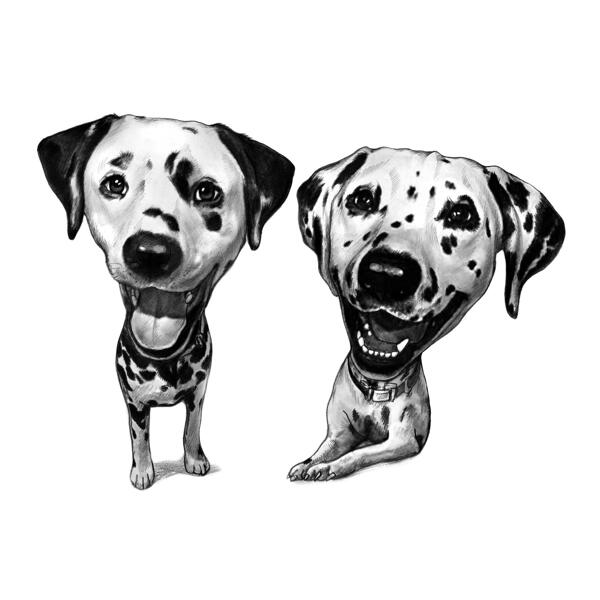 Zwei Dalmatiner Hunde Karikatur mit lustiger Übertreibung im Schwarz-Weiß-Stil gezeichnet