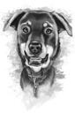 Grafit Rottweiler portræt fra fotos i akvarel stil