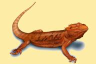 Reptielenkarikatuurtekening van foto's met één gekleurde achtergrond