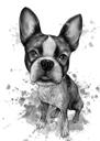 Charcoal French Bulldog Portrait