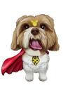 Superhero Pet Caricature with Power Cape