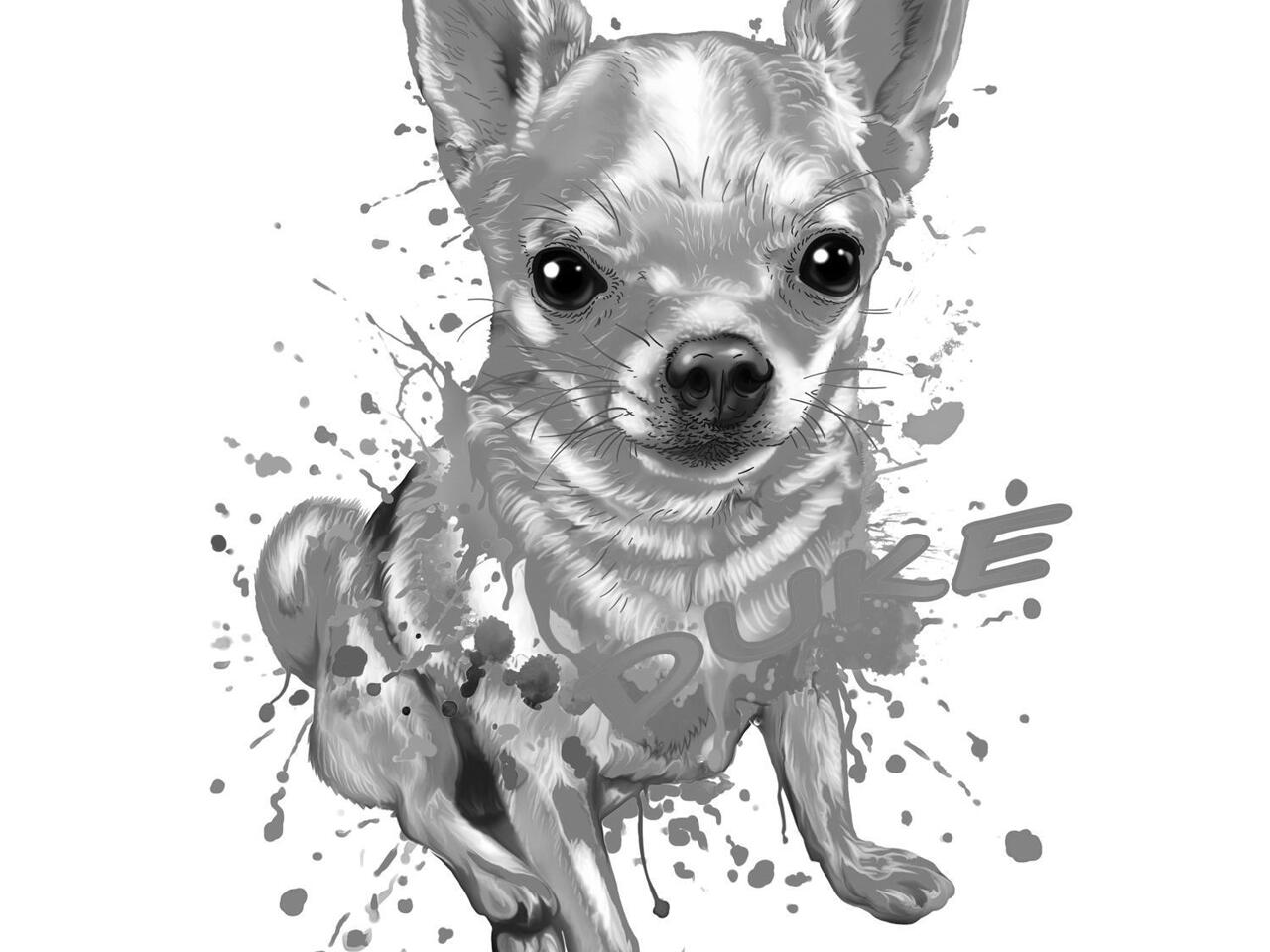 Portrait complet du corps noir et blanc de Chihuahua Graphite partir de photos