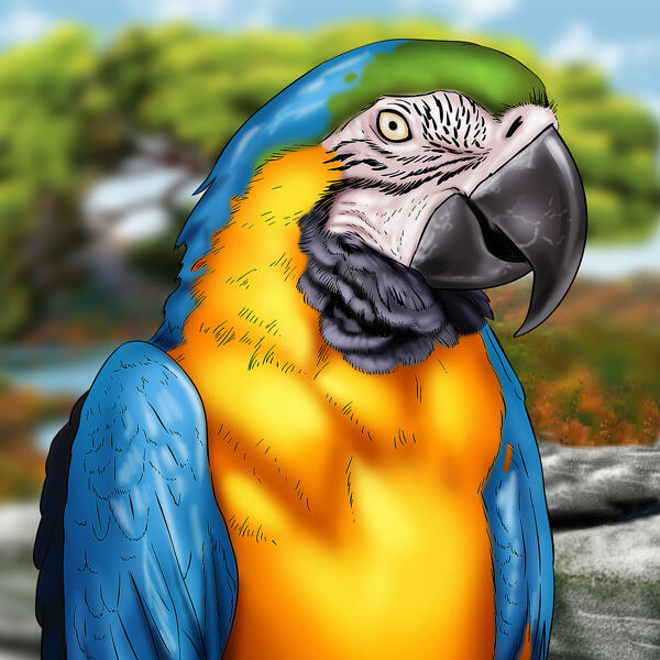 Kohandatud papagoi karikatuurjoonistus