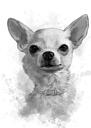 Niedliches anthrazitfarbenes Chihuahua-Porträt im Aquarellstil von Fotos