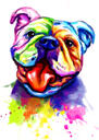 Rainbow Watercolor Bulldog Portrait from Photos