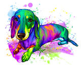 Full Body Dachshund Portrait in Colorful Watercolor from Photos