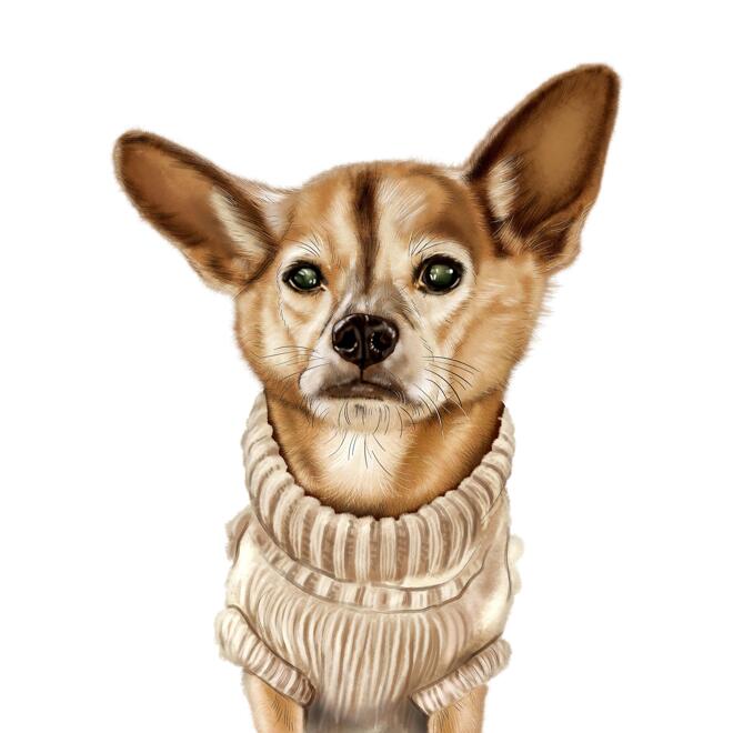 Caricatura canina personalizzata in stile a colori dalle foto per il regalo degli amanti dei cani