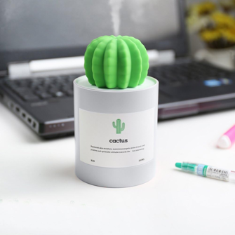 10. Humidificador de cactus tamaño mini AmuseNd-0