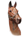 Digitales Porträt des Pferdes