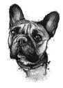 Fransız Bulldog Karikatür Portre Karikatürü Baş ve Omuzlar Siyah Kurşun Suluboya Tarzında