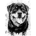 Grafit rottweilerporträtt i akvarellstil
